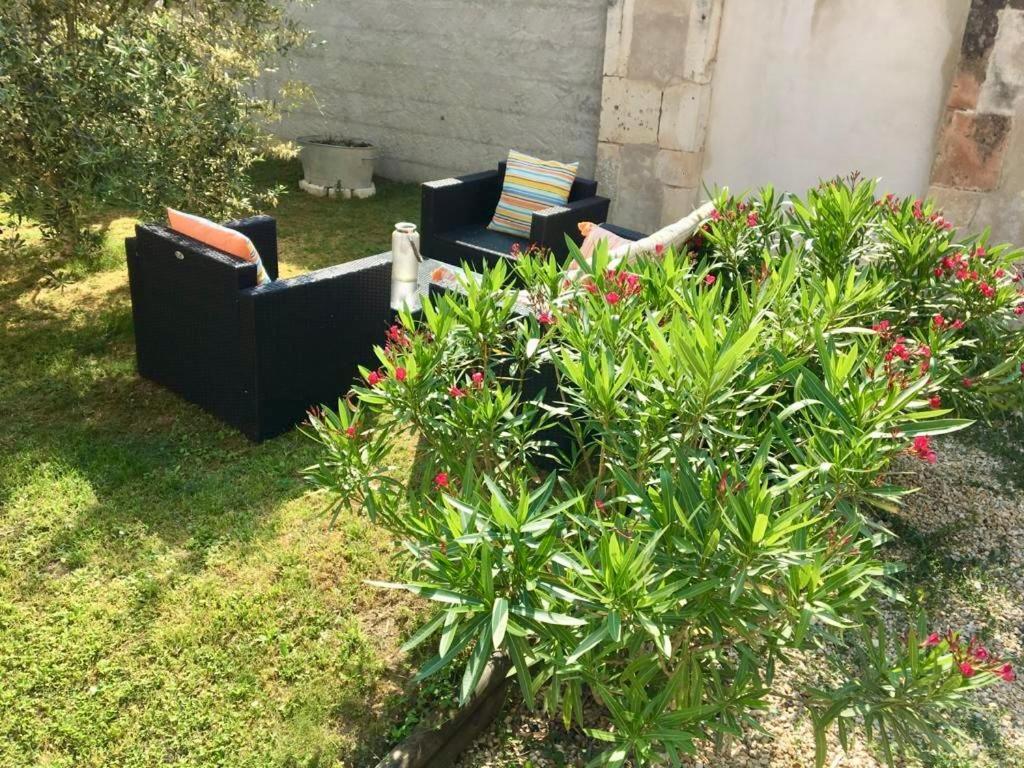 مبيت وإفطار Le Nid De Sigogne المظهر الخارجي الصورة